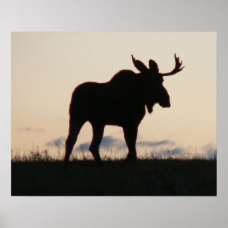 mosa silouette poster
