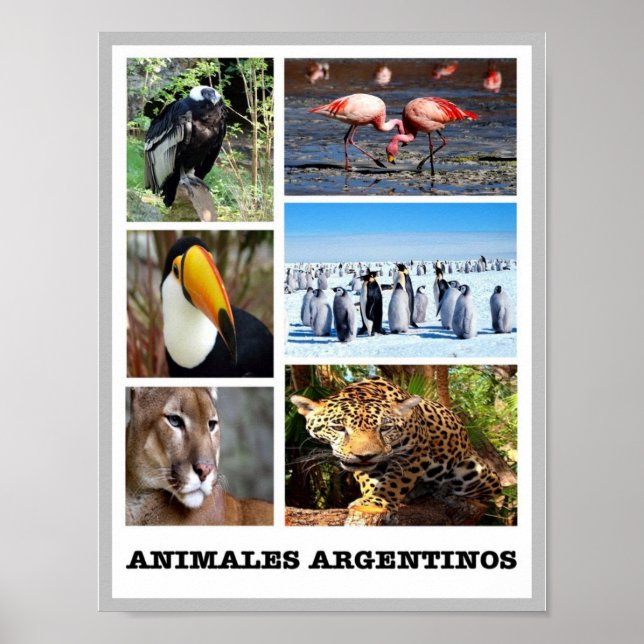 Mosaic Animales Argentinos - Poster (Framsidan)