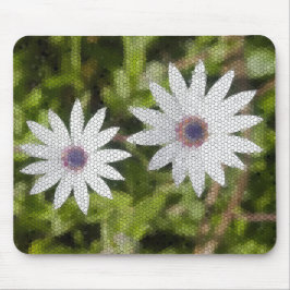 Mosaic White Daisy Bush Flowers - Musmatta