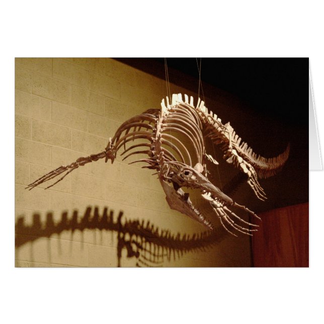 Mosasaur - "havsödla ", hälsningskort (Framsidan Horizontal)