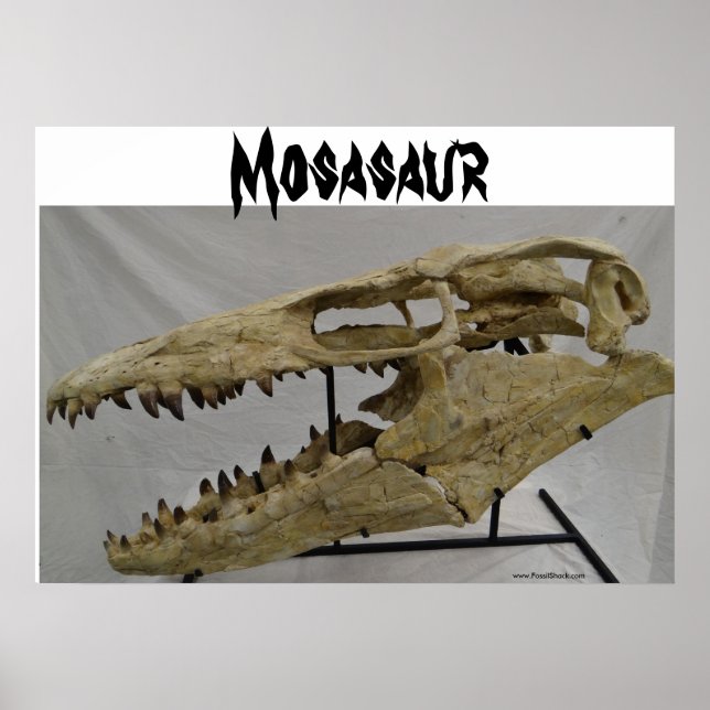 Mosasaur Poster (Framsidan)