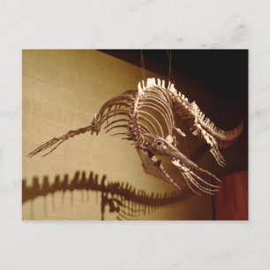 Mosasaur - Sea Lizard Vykort