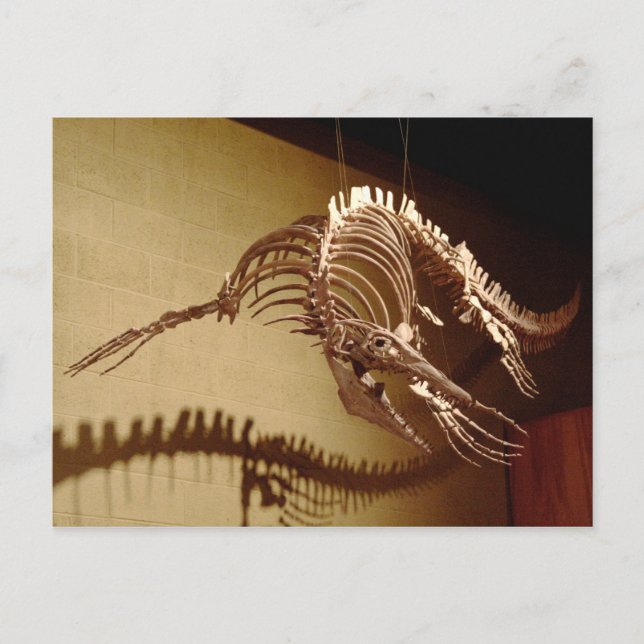 Mosasaur - Sea Lizard Vykort (Framsida)