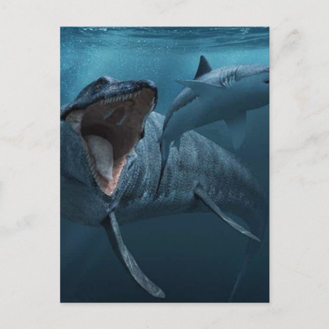 Mosasaurus chasing shark poster akrylisk tryckjigg vykort (Framsida)