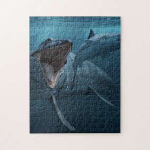 Mosasaurus chasing shark poster akryltryck pussel