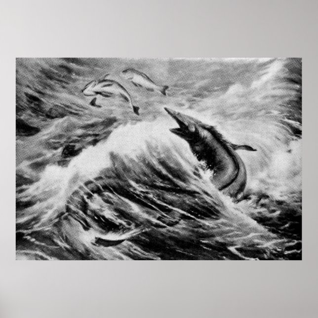 Mosasaurus Prehistorisk animalisk antikisk utskrif Poster (Framsidan)