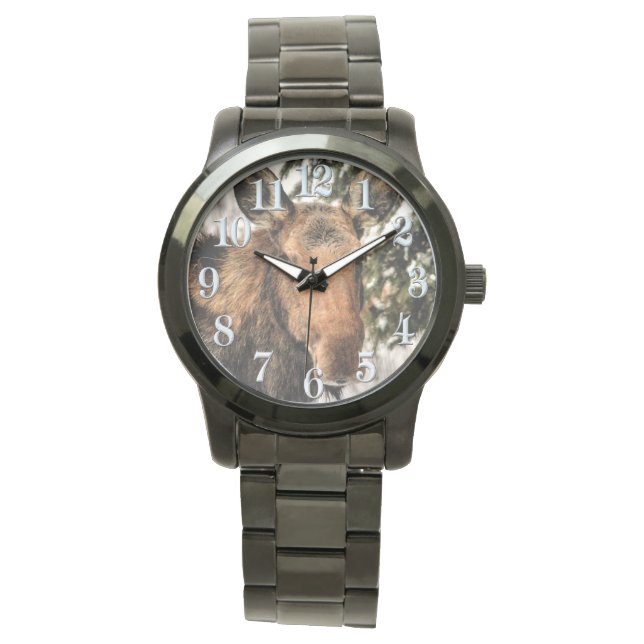 Mose and Grönt Grenar Wildlife watch Armbandsur (Framsida)