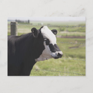 Moseleigh, Alberta, Kanada Vykort