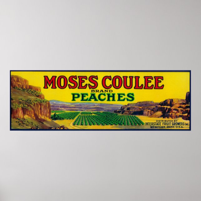 Moses Coulee Peach Label Poster (Framsidan)