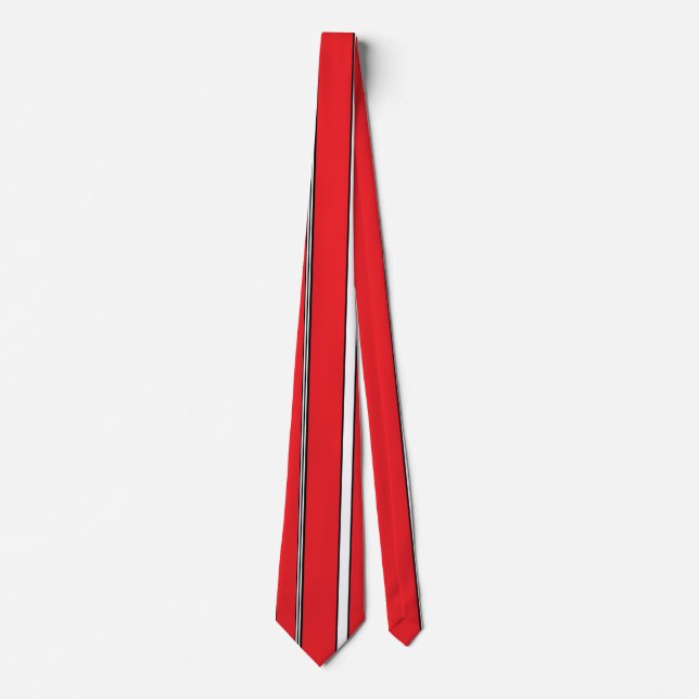 Moses Hebrew Tie Slips (Framsida)