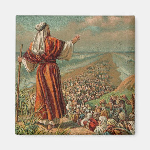Moses Parts Red Sea Magnet