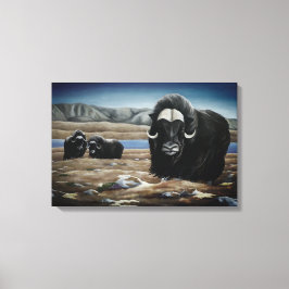 Moskus Oxe Målning Kanadensisk Vilda Djur Canvas T