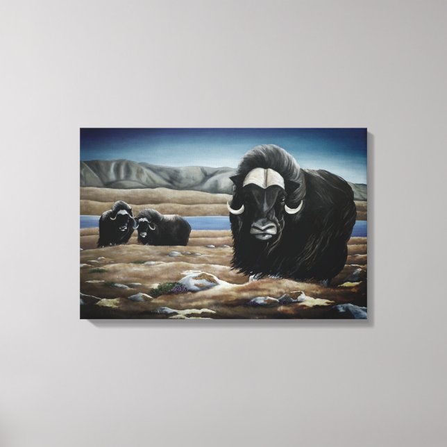 Moskus Oxe Målning Kanadensisk Vilda Djur Canvas T (Framsida)
