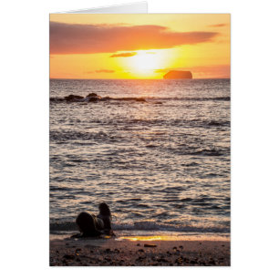 Mosquera Islet Sunset Hälsningskort