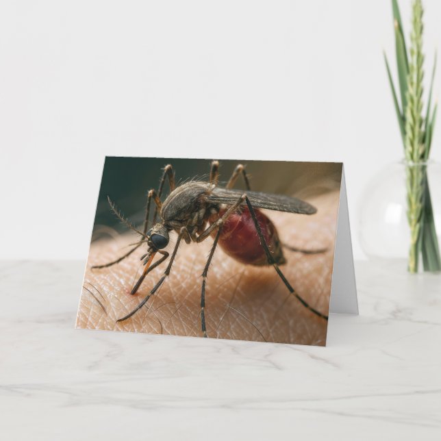 Mosquito Birthday Humor Kort (Framsida)