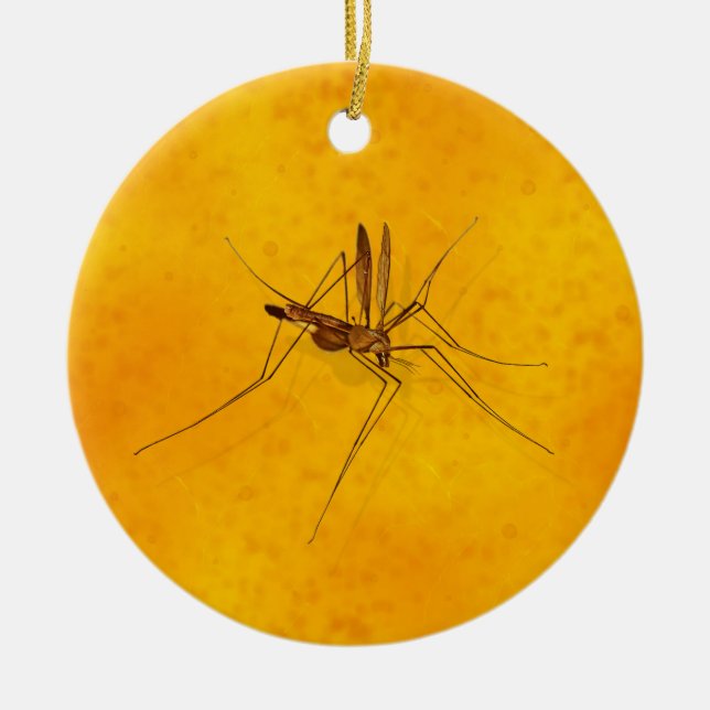 Mosquito i Amber Sap Fossil Replica Prehistorisk Julgransprydnad Keramik (Framsidan)