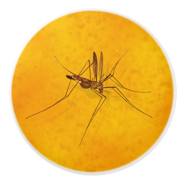 Mosquito i Amber Sap Fossil Replica Prehistorisk Knopp (Framsidan)