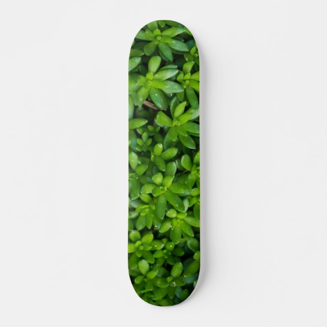 Moss Abstrakt Mini Skateboard Bräda 18,5 Cm (Framsida)