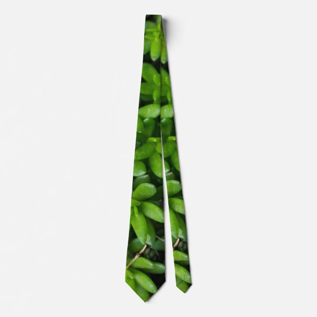 Moss Abstrakt Neck Tie Slips (Framsida)