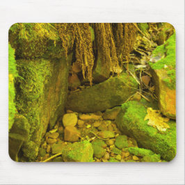 Moss and Stone – Hungarian Falls, Upper Peninsula Musmatta