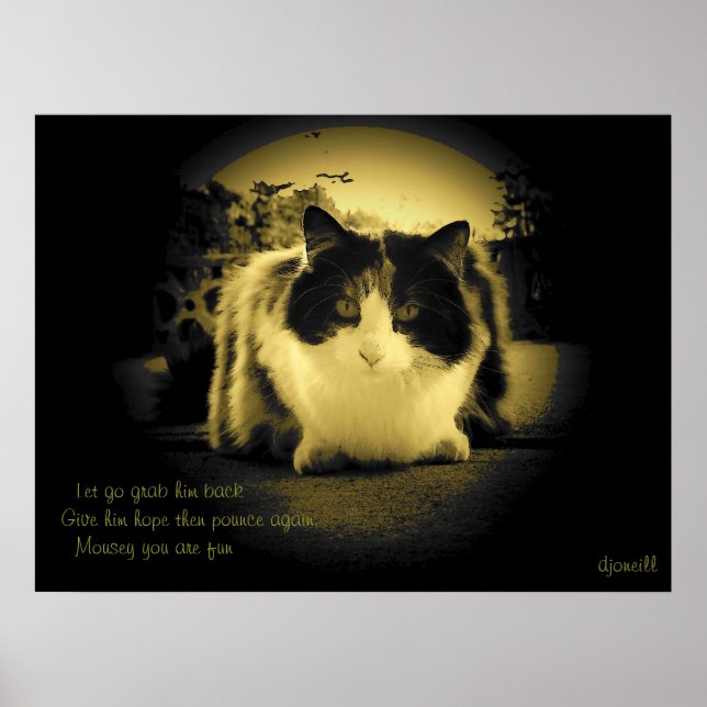 Möss är Roligt Peep Hål Kattunge Haiku Poster (Framsidan)