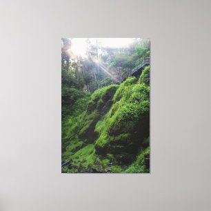 Moss Covered Sten Kanvastryck