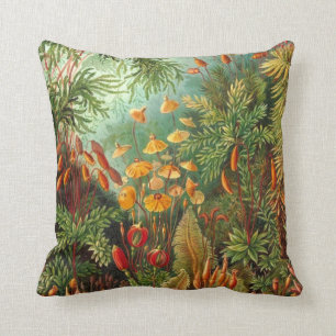 Moss - Ernst Haeckel Kudde