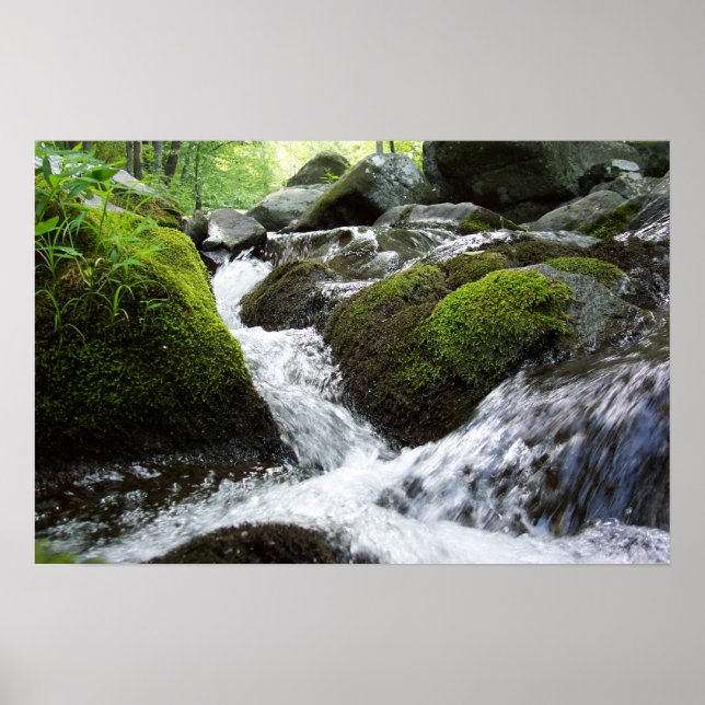 Moss Falls Poster (Framsidan)