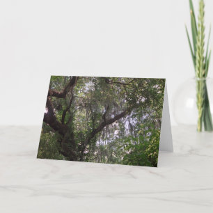 Moss Forest Canopy Anpassningsbar Louisiana Greeti Kort