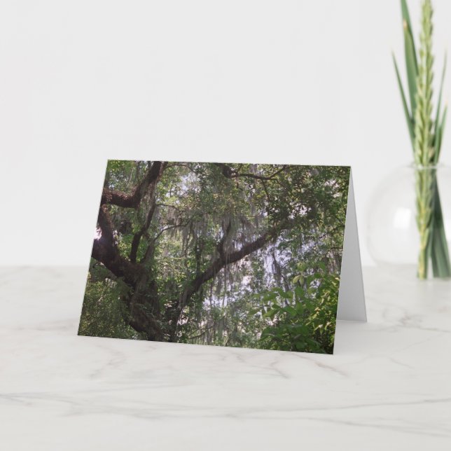 Moss Forest Canopy Anpassningsbar Louisiana Greeti Kort (Framsida)