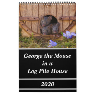 Möss - George musen i ett logaritmhus Kalender