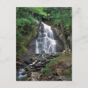 Moss Glen Falls Grönt Mountains Vermont Vykort
