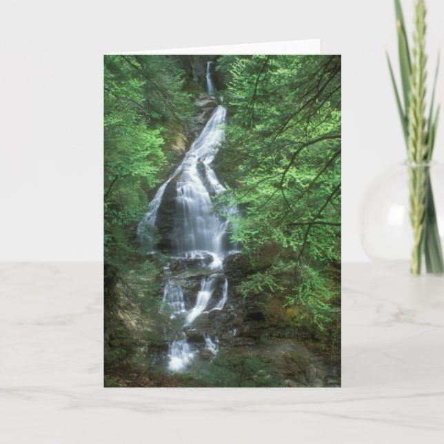 Moss Glen Falls Stowe Vermont Kort (Framsida)