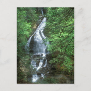 Moss Glen Falls Stowe Vermont Vykort