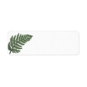 Moss Grönt Fern, blommigt fauna i skogen Returadress Etikett