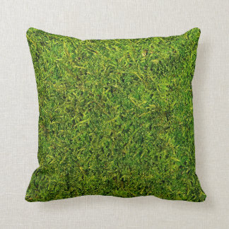 Moss Kudde