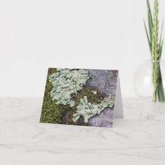 Moss & Lichen Notecard Kort