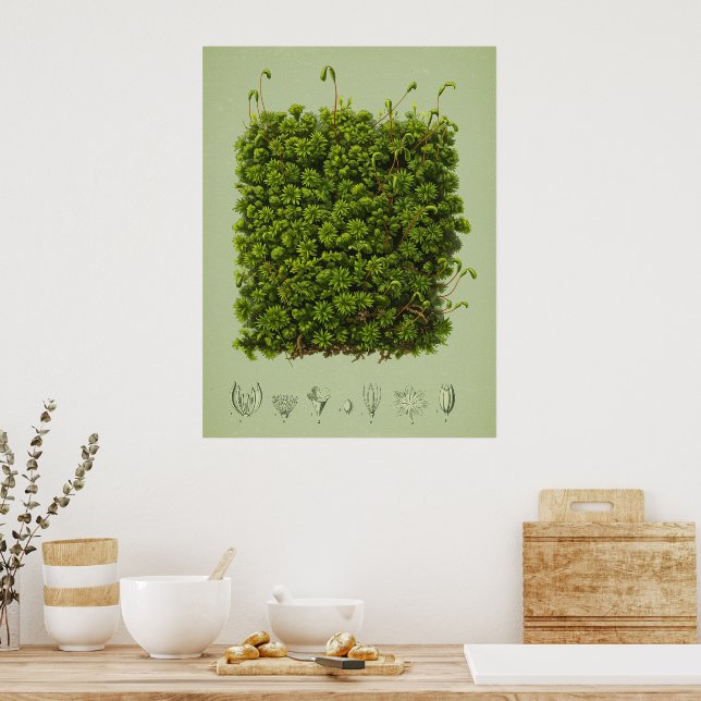Moss motif poster (Kök)