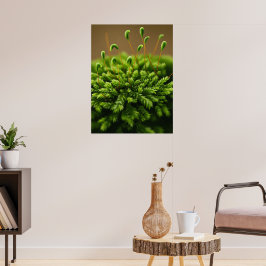 Moss motif poster