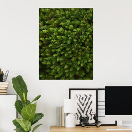 Moss motif poster