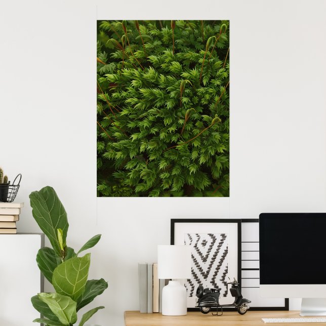 Moss motif poster (Hemmakontoret)