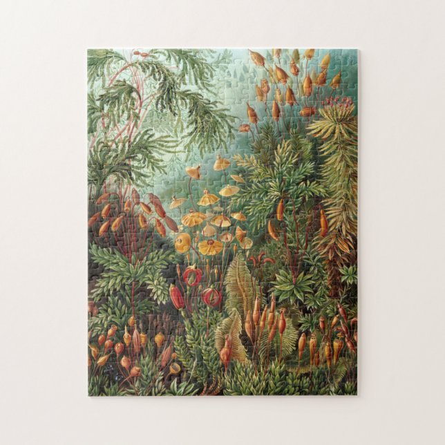 Moss (Muscinae) från Haeckel Pussel (Vertikal)