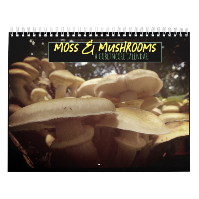 Moss & Mushrum Goblincore Kalender (Omslag)