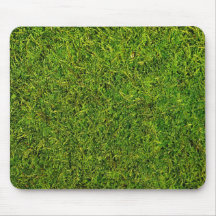 Moss