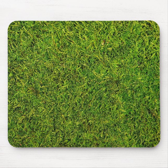 Moss Musmatta (Framsidan)