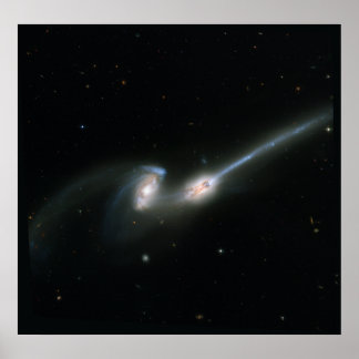Möss (NGC 4676)- kolliderande galaxer Poster