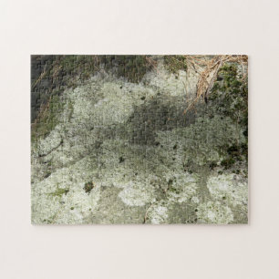 Moss och Lichen på Sten Pussel