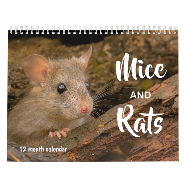 Möss och råttor 2027 kalender (Omslag)