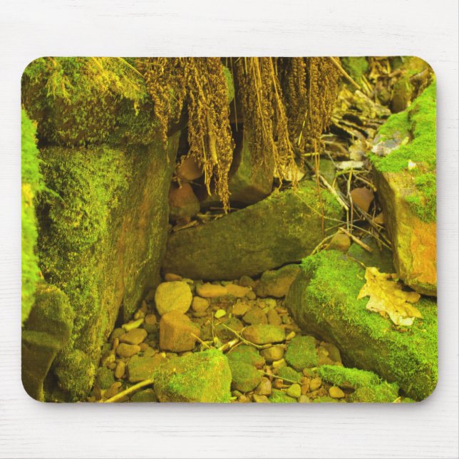 Moss och sten – Ungerska fallen, Övre halvön Musmatta (Framsidan)