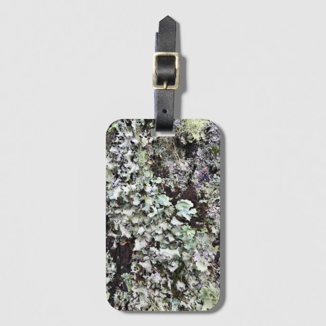 Moss på en Träd, Cape Disseende, Washington Bagagebricka (Framsida vertikal)